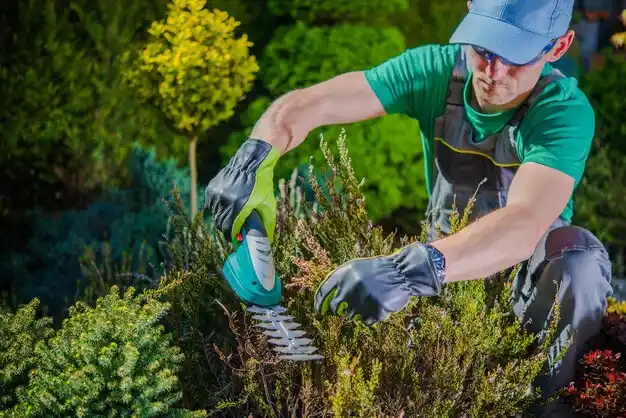 landscaping services New California